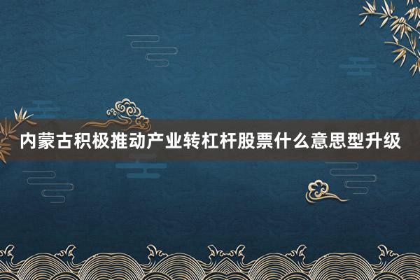 内蒙古积极推动产业转杠杆股票什么意思型升级