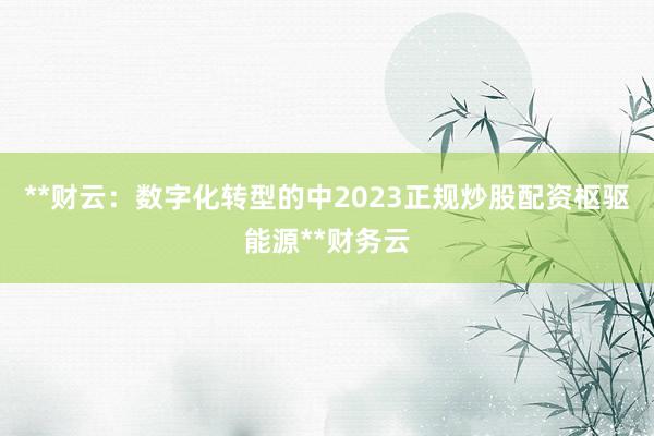 **财云：数字化转型的中2023正规炒股配资枢驱能源**财务云