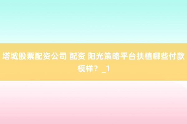 塔城股票配资公司 配资 阳光策略平台扶植哪些付款模样？_1
